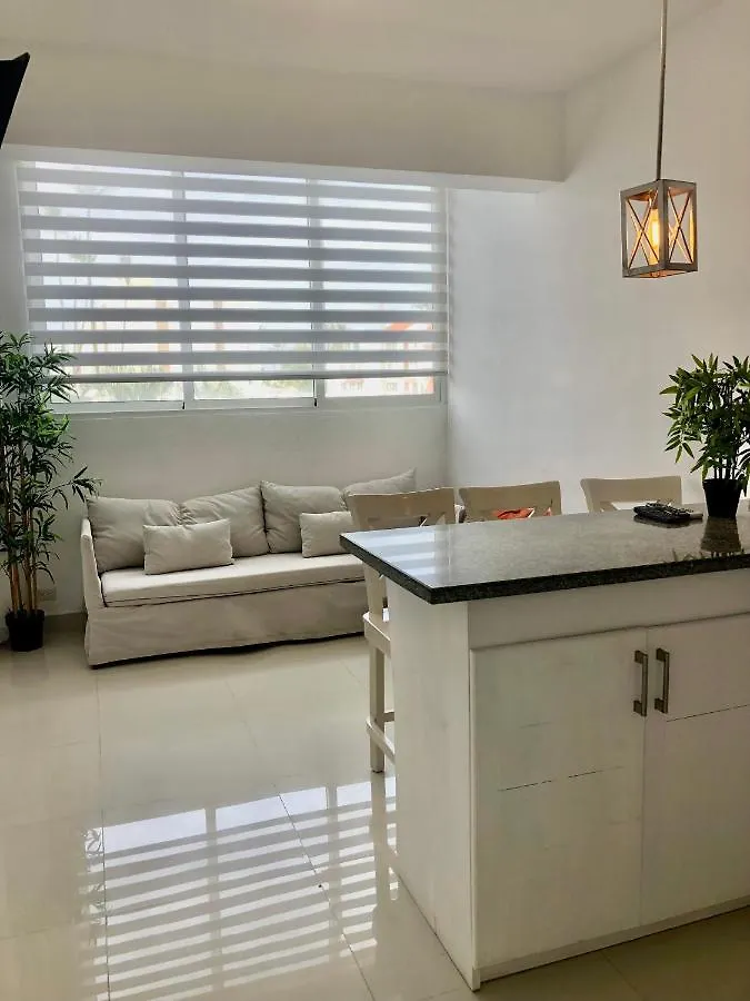 Ducassi Rooftop Pool Luxury Suites Beach Club And Spa Bavaro Hotel