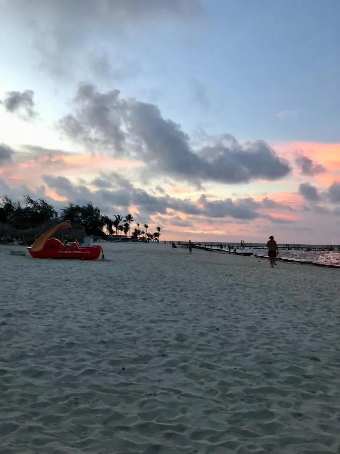 Ducassi Rooftop Pool Luxury Suites Beach Club And Spa Bavaro 5*,