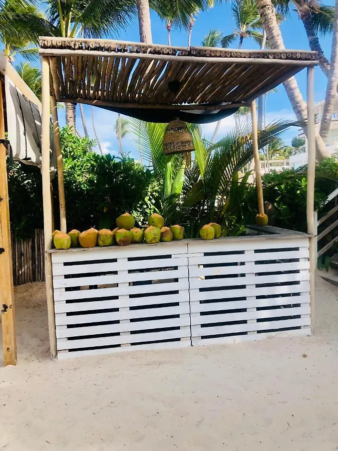 Hotel Ducassi Rooftop Pool Luxury Suites Beach Club And Spa Bavaro